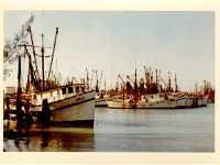 navy 00024  Key West shrimp fleet.
