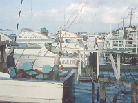 navy 00025  Key West sport fishing docks.