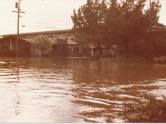 Old Flood